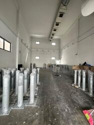 West Spring (D22), Factory #562146651